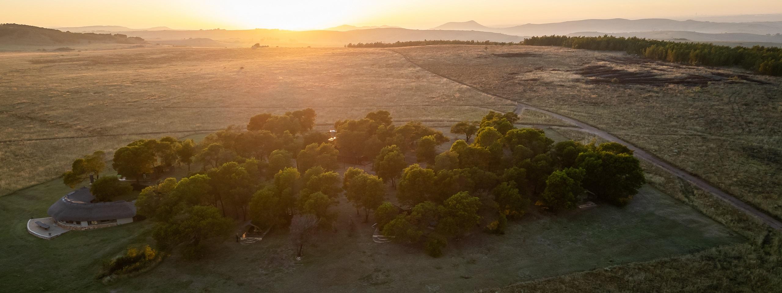 Sibani Lodge: The Cradle of Humankind’s Best-Kept Secret 