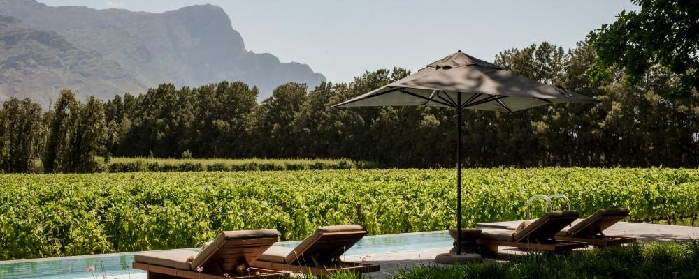 Maison Wines: Where Craft Meets Comfort in the Heart of Franschhoek