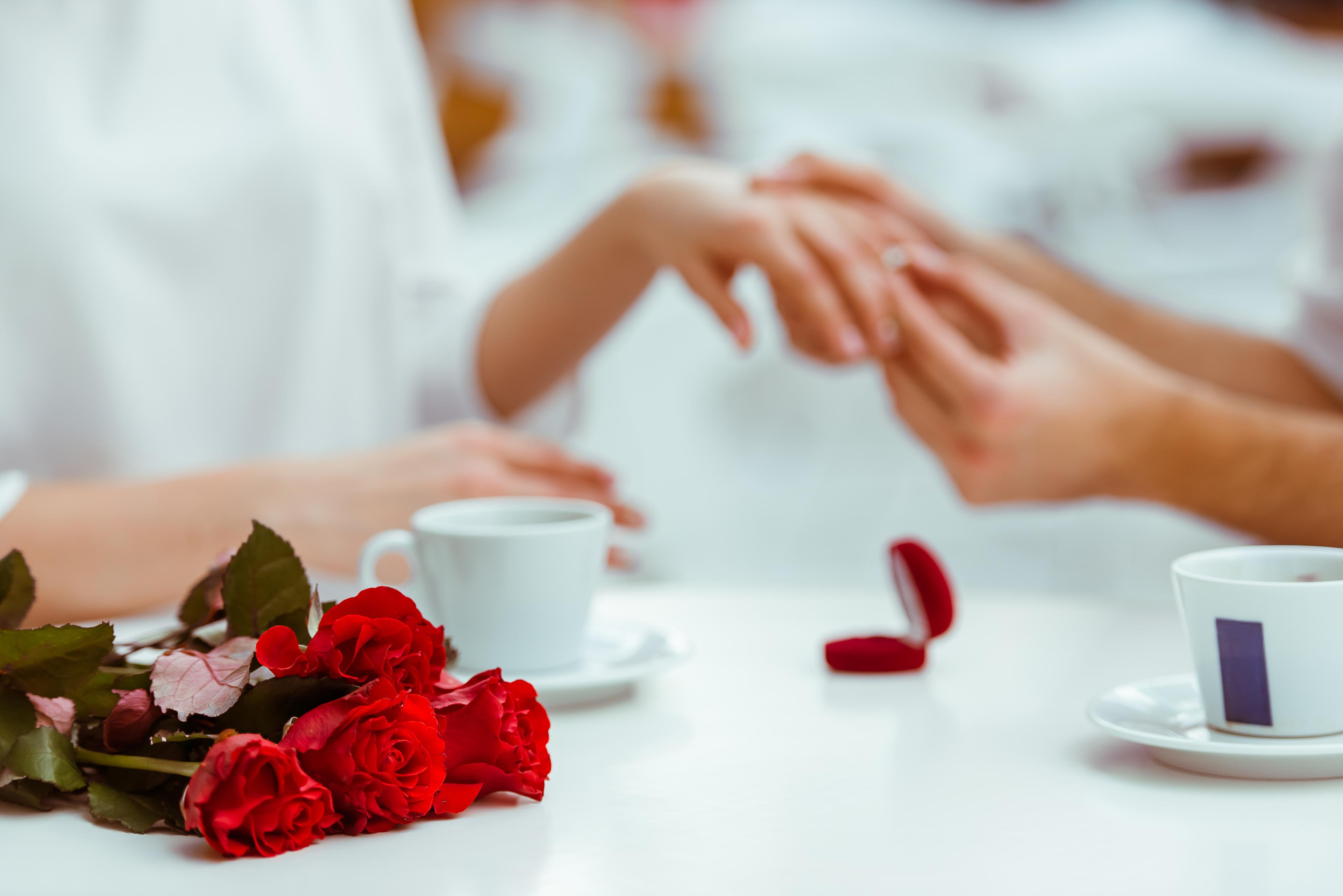 Romantic Places To Propose in Pretoria