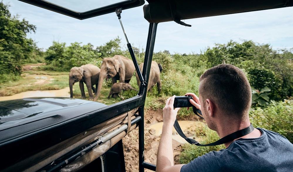 Wild Trails Await: Top Outdoor Adventure Destinations Near Pretoria